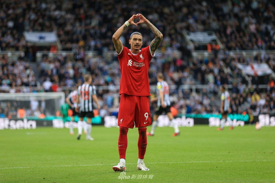 也大大增强 也大大增强